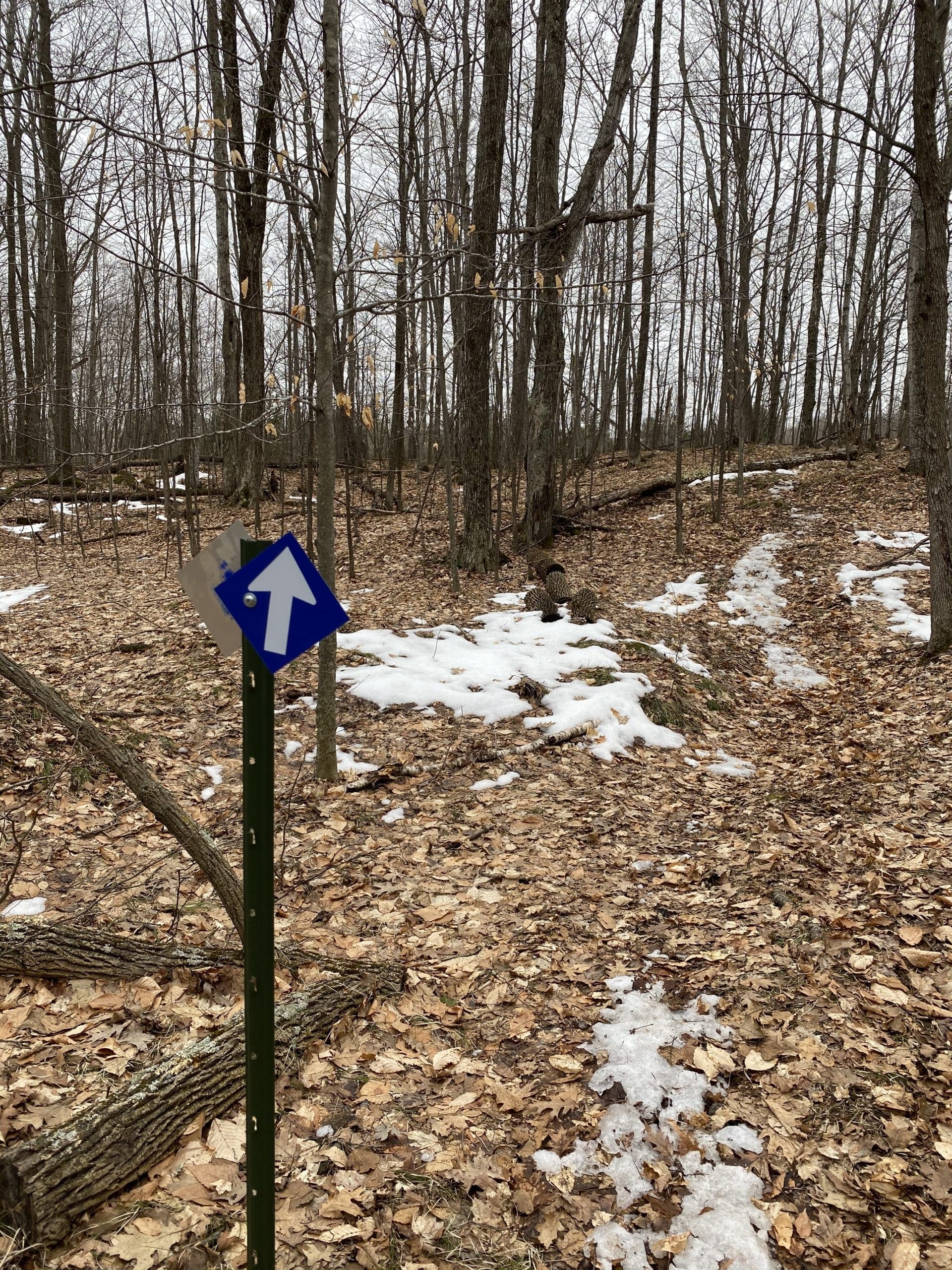 Hike Door County Land Trust
