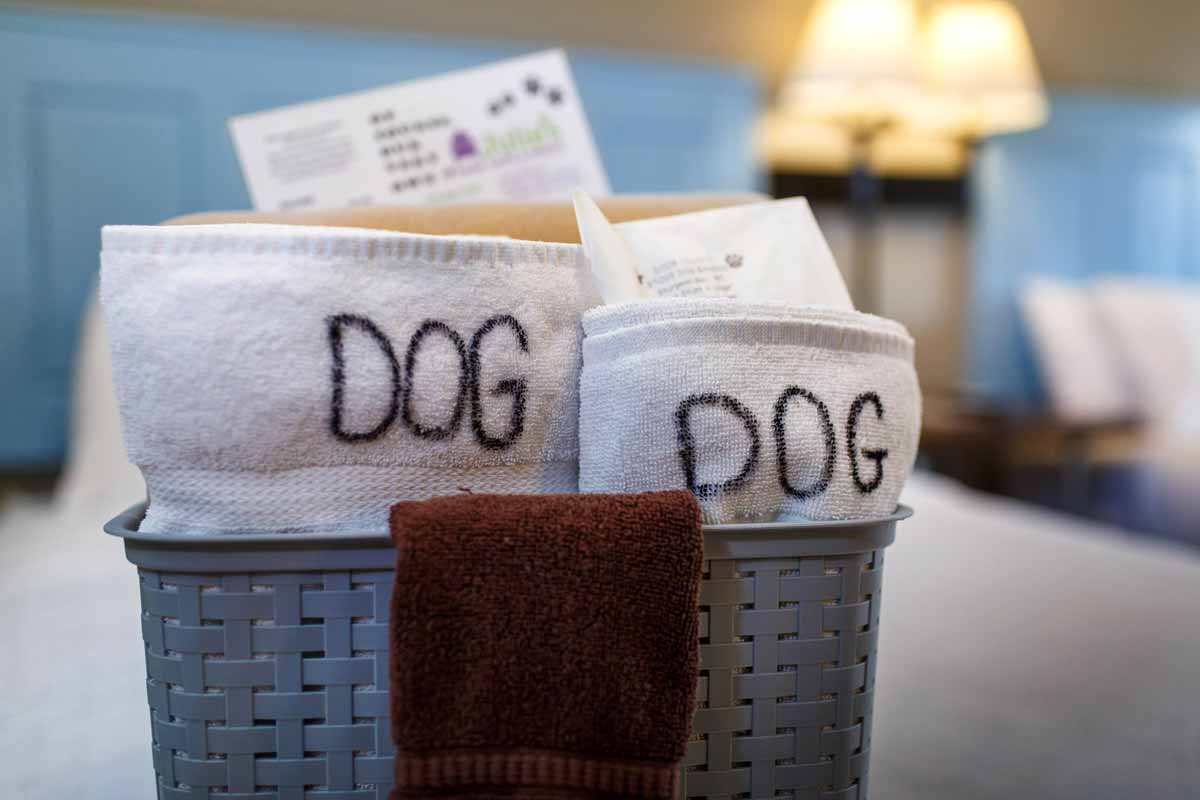 IMG_2460 Dog welcome care package at Julie's Park Cafe and Motel