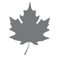 julies-chair-white Maple Leaf icon